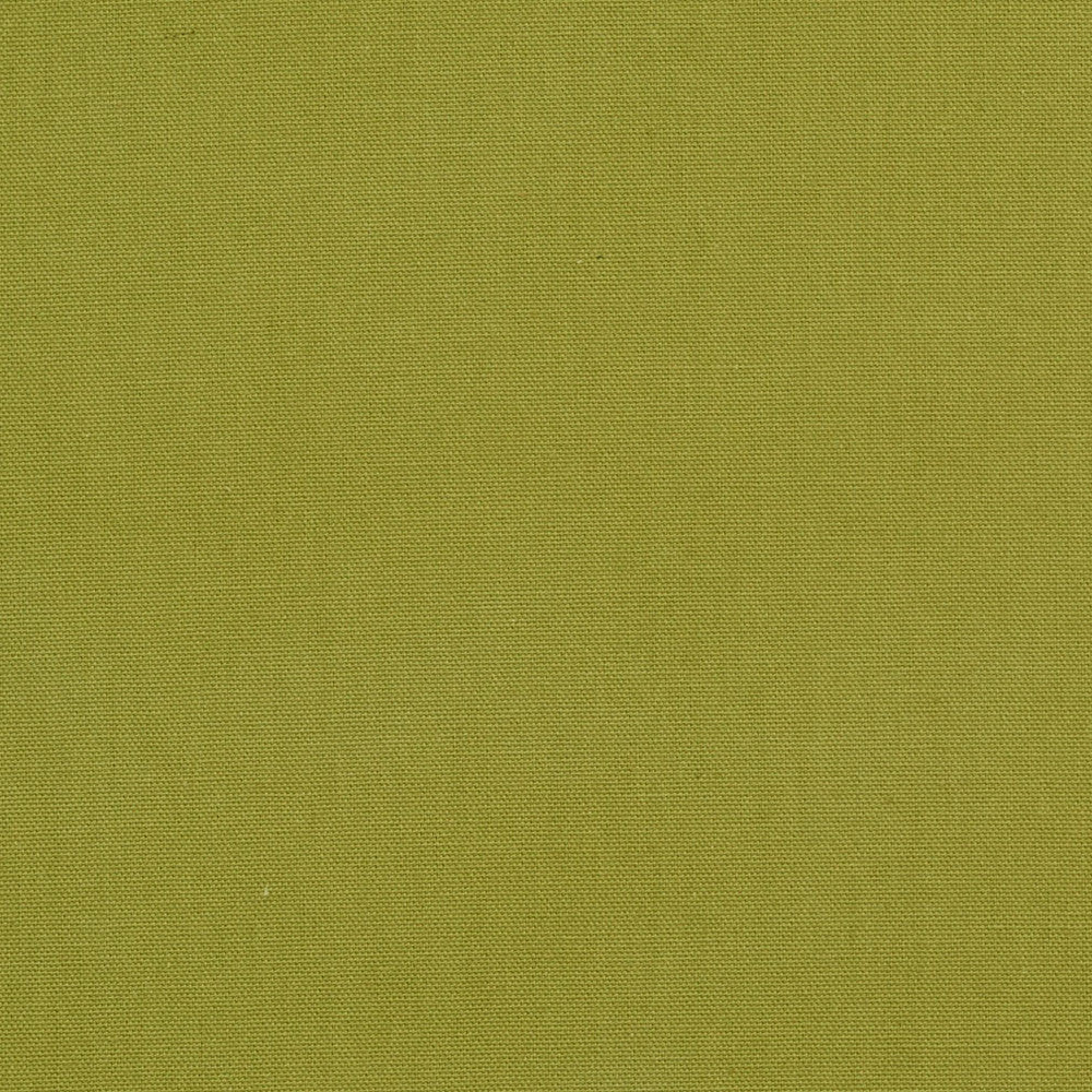 1509 Spring by Charlotte Designer Fabric Cotton Duck, Forever Classics 100% Cotton, 12oz. Preshrunk Cotton Duck Made In USA Exceeds 60,000 Wyzenbeek Rubs (Heavy Duty) No Repeat 54 Inches - Swanky Fabrics -