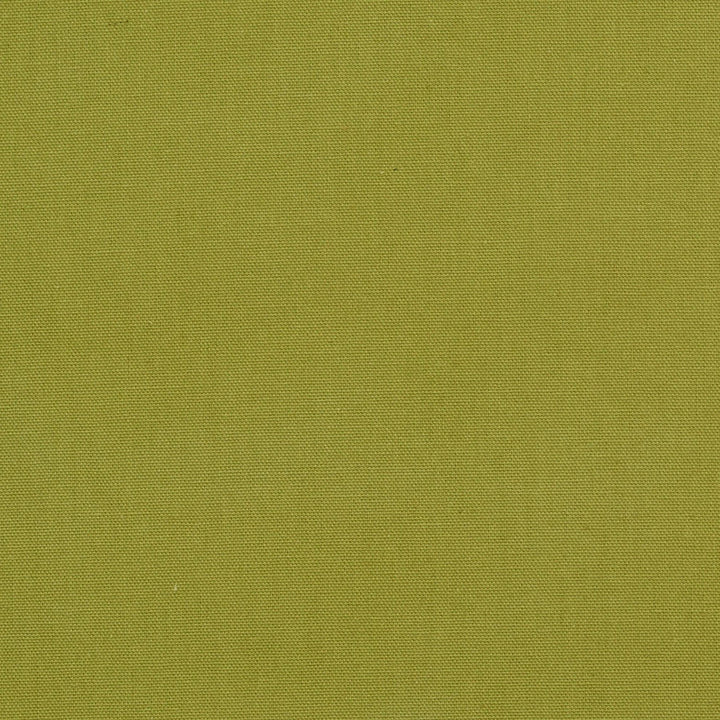 1509 Spring by Charlotte Designer Fabric Cotton Duck, Forever Classics 100% Cotton, 12oz. Preshrunk Cotton Duck Made In USA Exceeds 60,000 Wyzenbeek Rubs (Heavy Duty) No Repeat 54 Inches - Swanky Fabrics -