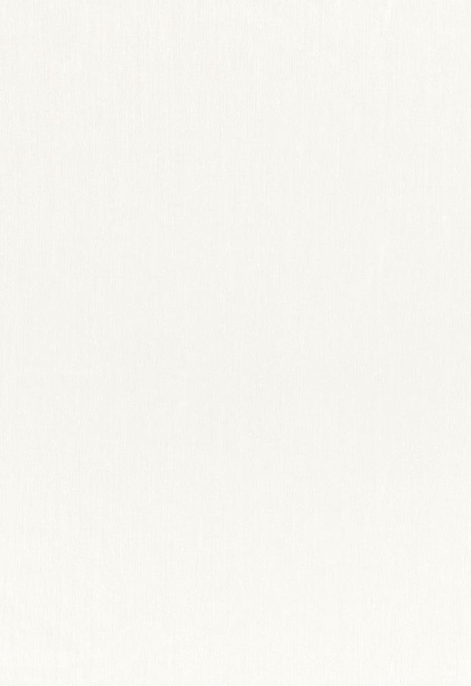 Blaine Natural 1564010 by Schumacher Designer Fabric Radiance-Sheers 100% Polyester - Horizontal: - and Vertical: - 118 - Swanky Fabrics -
