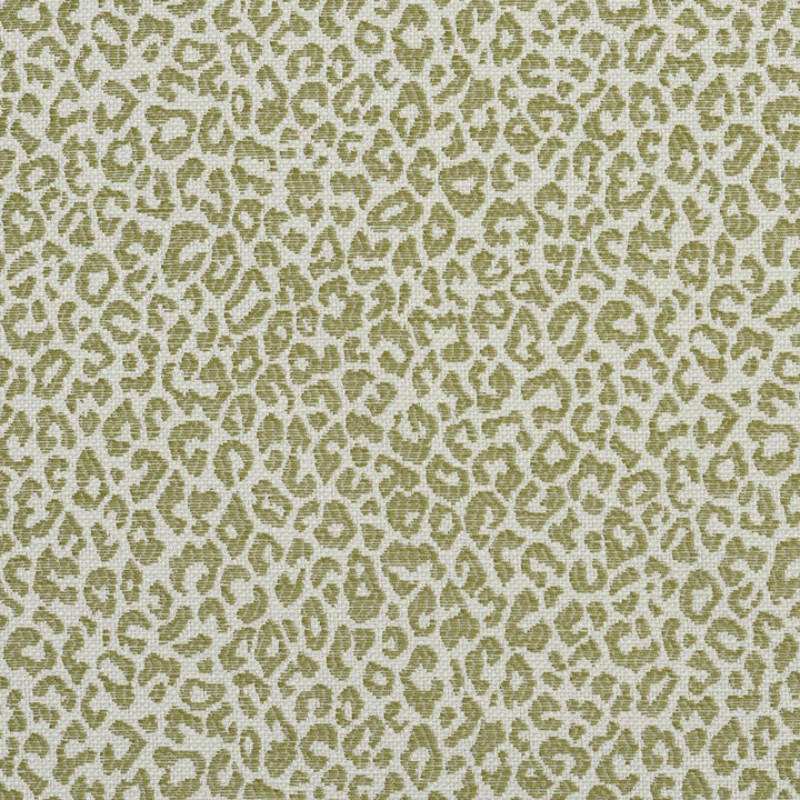 1591 Meadow by Charlotte Designer Fabric Ring Book Page #16A 75% Rayon, 25% Polyester Asia Exceeds 70,000 Wyzenbeek Rubs (Heavy Duty) </p><p>Repeat: Random 54 Inches - Swanky Fabrics -