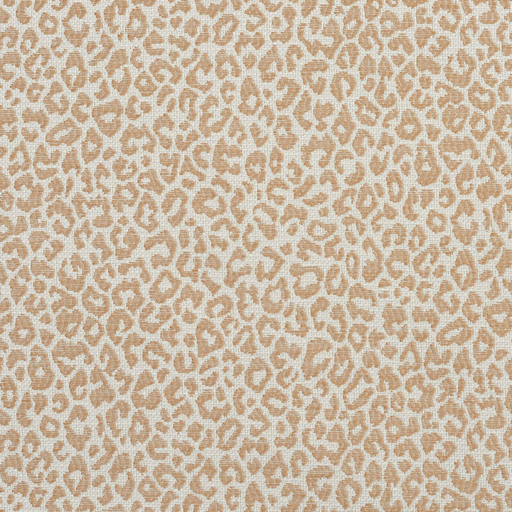 1592 Sand by Charlotte Designer Fabric Ring Book Page #16A 75% Rayon, 25% Polyester Asia Exceeds 70,000 Wyzenbeek Rubs (Heavy Duty) Random 54 Inches - Swanky Fabrics -