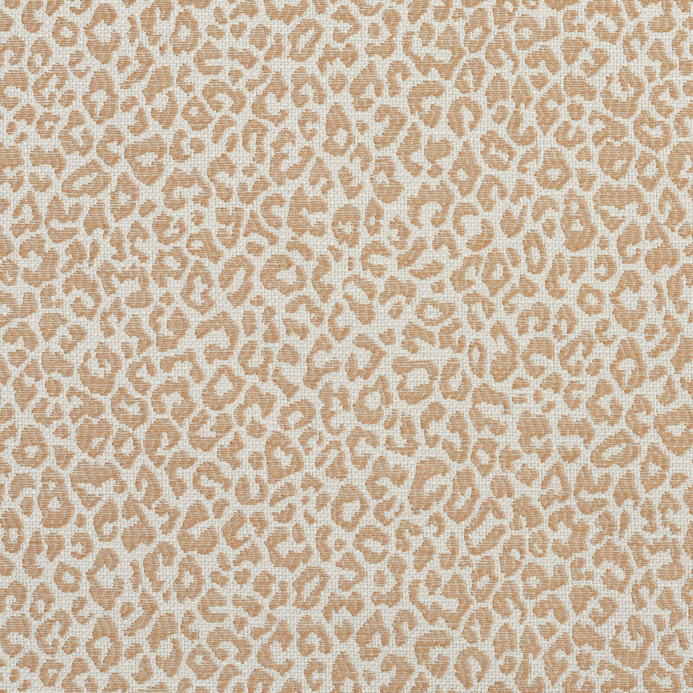1592 Sand by Charlotte Designer Fabric Ring Book Page #16A 75% Rayon, 25% Polyester Asia Exceeds 70,000 Wyzenbeek Rubs (Heavy Duty) Random 54 Inches - Swanky Fabrics -