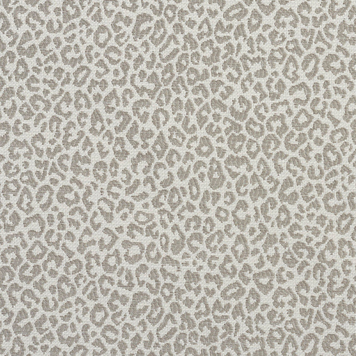 1594 Stone by Charlotte Designer Fabric Ring Book Page #16A 75% Rayon, 25% Polyester Asia Exceeds 70,000 Wyzenbeek Rubs (Heavy Duty) Random 54 Inches - Swanky Fabrics -