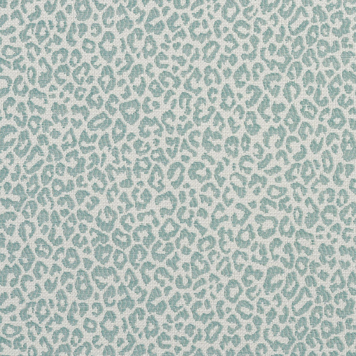 1595 Mist by Charlotte Designer Fabric Ring Book Page #16A 75% Rayon, 25% Polyester Asia Exceeds 70,000 Wyzenbeek Rubs (Heavy Duty) Random 54 Inches - Swanky Fabrics -