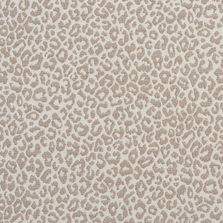 1596 Taupe by Charlotte Designer Fabric Ring Book Page #16A 75% Rayon, 25% Polyester Asia Exceeds 70,000 Wyzenbeek Rubs (Heavy Duty) </p><p>Repeat: Random 54 Inches - Swanky Fabrics -