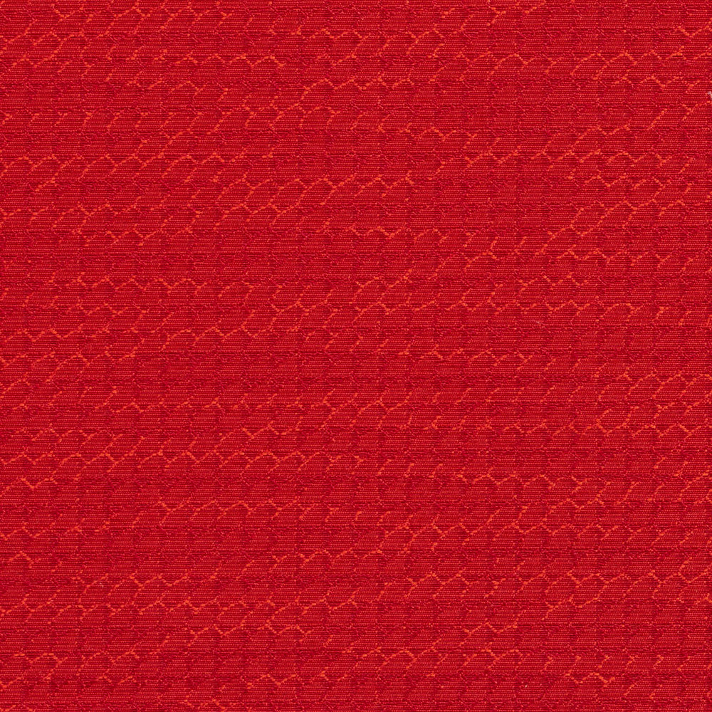 1706 Cherry by Charlotte Designer Fabric Durables 100% Recycled Polyester Made In USA Exceeds 100,000 Wyzenbeek Rubs (Heavy Duty) No Repeat 54 Inches - Swanky Fabrics -