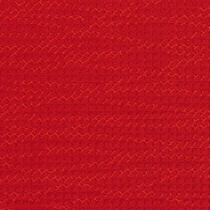 1706 Cherry by Charlotte Designer Fabric Durables 100% Recycled Polyester Made In USA Exceeds 100,000 Wyzenbeek Rubs (Heavy Duty) No Repeat 54 Inches - Swanky Fabrics -