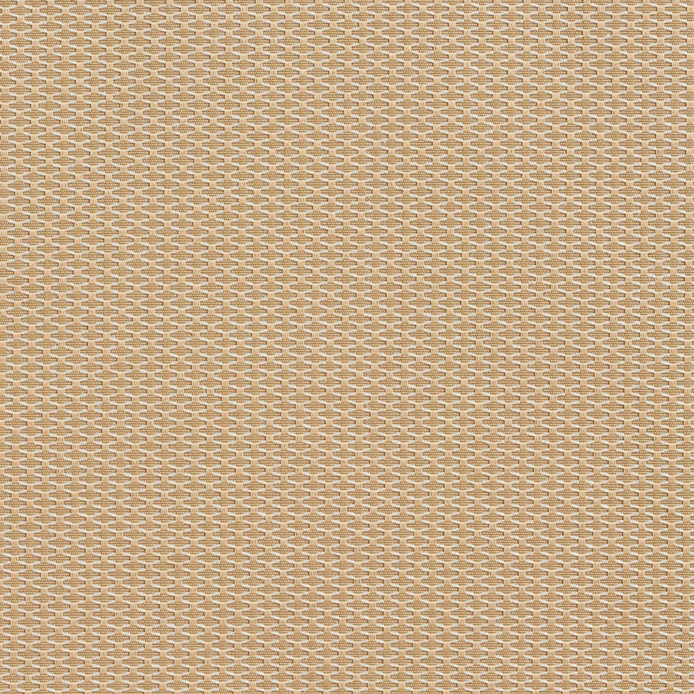 1713 Birch by Charlotte Designer Fabric Durables 100% Recycled Polyester Made In USA Exceeds 100,000 Wyzenbeek Rubs (Heavy Duty) No Repeat 54 Inches - Swanky Fabrics -