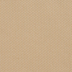 Charlotte Fabric 1713 Birch
