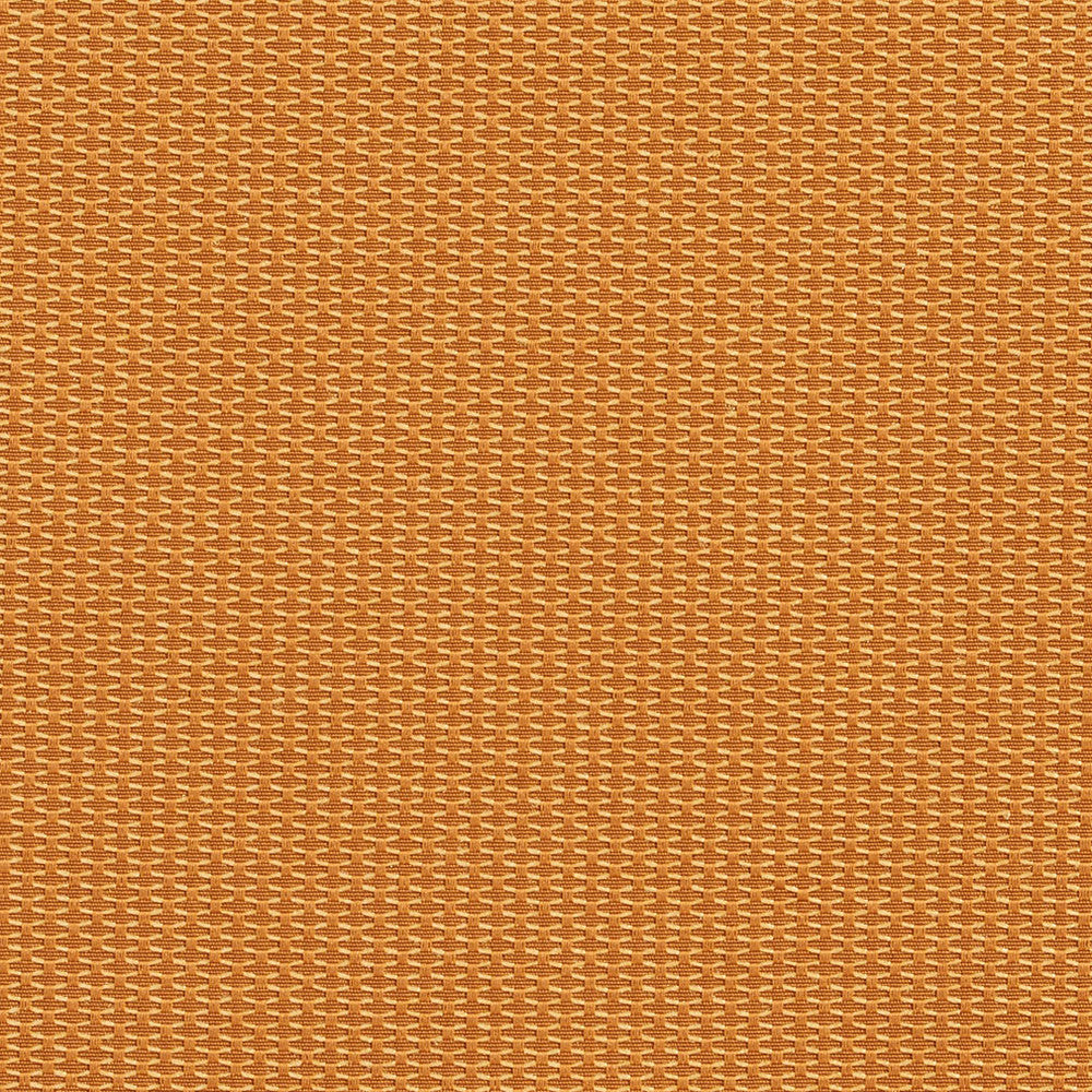 1717 Bullion by Charlotte Designer Fabric Durables 100% Recycled Polyester Made In USA Exceeds 100,000 Wyzenbeek Rubs (Heavy Duty) No Repeat 54 Inches - Swanky Fabrics -