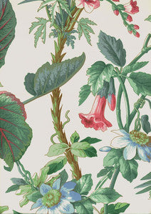 Schumacher Fabric Palmetto Garden Tropic 172951