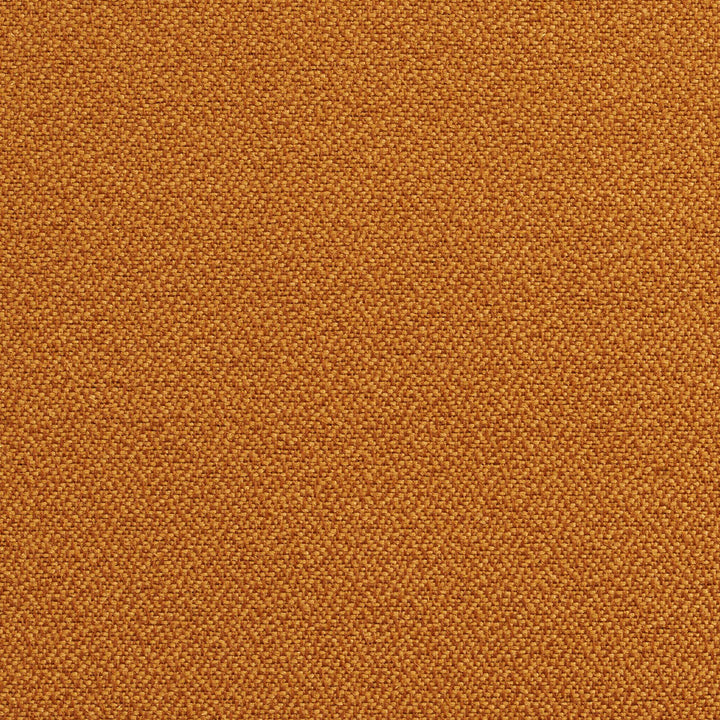 1729 Nugget by Charlotte Designer Fabric Durables 100% Recycled Polyester Made In USA Exceeds 100,000 Wyzenbeek Rubs (Heavy Duty) No Repeat 54 Inches - Swanky Fabrics -