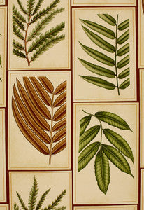 Schumacher Fabric Montserrat Leaf Sepia 173500