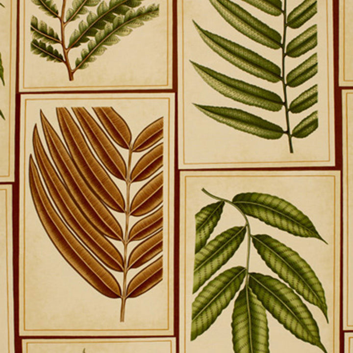 Montserrat Leaf Sepia 173500 by Schumacher Fabric Schumacher Fabric Montserrat Leaf Sepia 173500Fabric COTTON 100% ITALY </p><p>Repeat: H: HORZ. 27" (69CM) , V: VERT. 43 3/4" (111CM) 54 - Fabric Carolina -