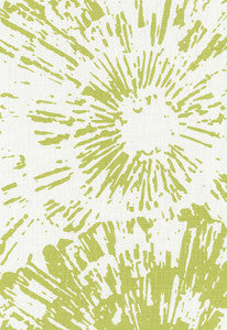 Schumacher Fabric Fireworks Spring 173992
