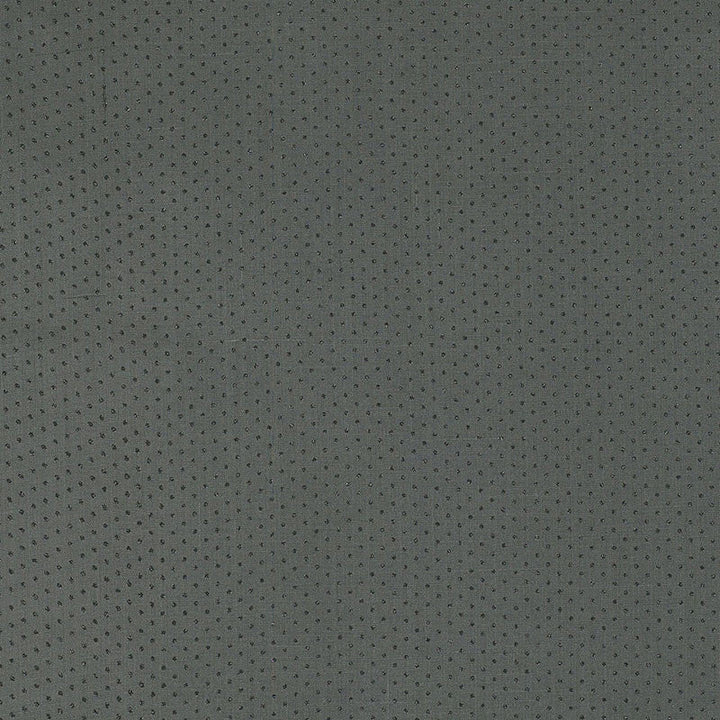 Twinkle Twilight 174011 by Schumacher Fabric Schumacher Fabric Twinkle Twilight 174011Fabric RAMIE 100% ITALY </p><p>Repeat: H: HORZ. 3/8" (1CM) , V: VERT. 3/8" (1CM) 55 - Fabric Carolina -