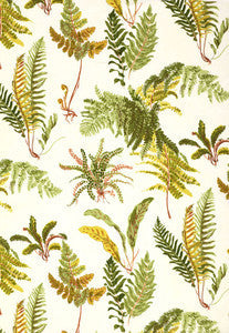 Schumacher Fabric Les Fougeres Spring 174091