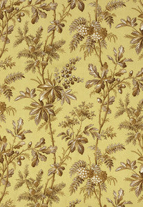 Schumacher Fabric Brantwood Vine Pear 174110