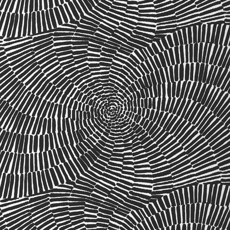 Sonriza Print Black 174243 by Schumacher Fabric Schumacher Fabric Sonriza Print Black 174243Fabric ACRYLIC TWILL 100% UNITED STATES OF AMERICA </p><p>Repeat: H: HORZ. 52" (132CM), V: VERT. 18" (46CM) 52 - Fabric Carolina -