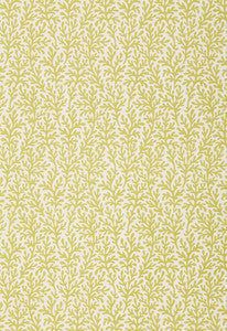 Schumacher Fabric Sea Coral Chartreuse 174462