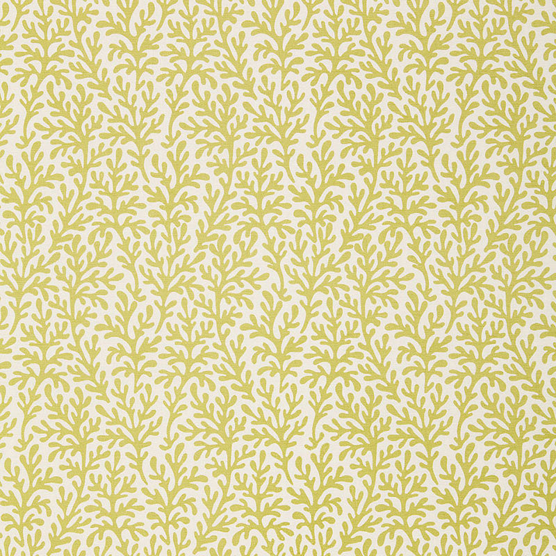 Sea Coral Chartreuse 174462 by Schumacher Fabric Schumacher Fabric Sea Coral Chartreuse 174462Fabric COTTON 100% INDIA </p><p>Repeat: H: HORZ. 3 7/8" (10CM) , V: VERT. 8" (20CM) 54 - Fabric Carolina -