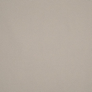 Schumacher Fabric Constellation Indoor/Outdoor Shell 175881
