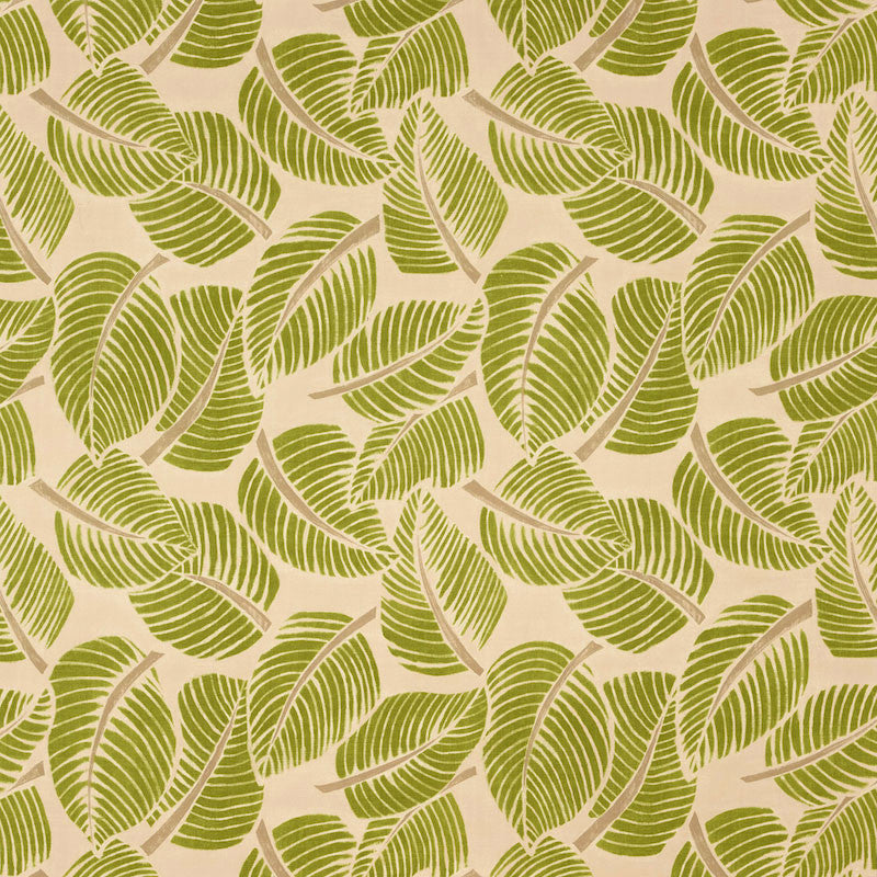 Costa Rica Leaf 176190 by Schumacher Fabric Schumacher Fabric Costa Rica Leaf 176190Fabric COTTON 100% ITALY </p><p>Repeat: H: HORZ. 55" (140CM) , V: VERT. 47" (119CM) 55 - Fabric Carolina -