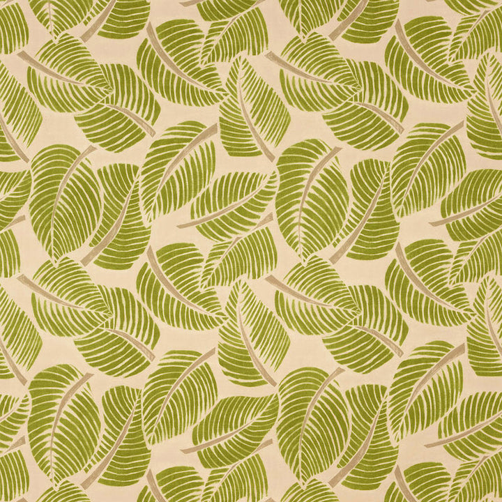 Costa Rica Leaf 176190 by Schumacher Fabric Schumacher Fabric Costa Rica Leaf 176190Fabric COTTON 100% ITALY </p><p>Repeat: H: HORZ. 55" (140CM) , V: VERT. 47" (119CM) 55 - Fabric Carolina -