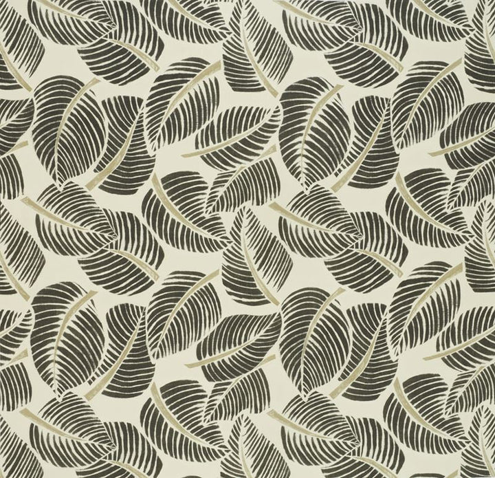 Costa Rica Faded Black 176193 by Schumacher Designer Fabric Good-Vibrations 100% Cotton Martindale 20,000 Horizontal: 55 and Vertical: 47 55 - Swanky Fabrics -