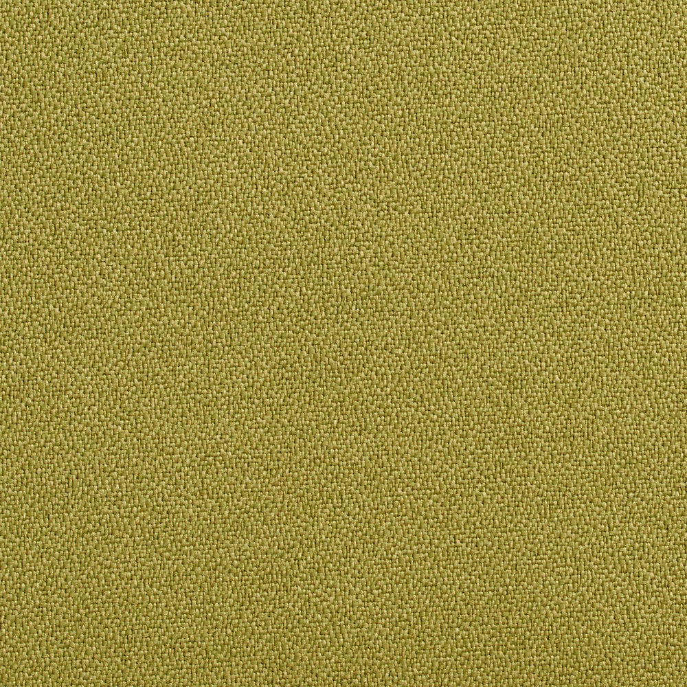 1763 Aloe by Charlotte Designer Fabric Durables 100% Recycled Polyester Made In USA Exceeds 100,000 Wyzenbeek Rubs (Heavy Duty) No Repeat 54 Inches - Swanky Fabrics -