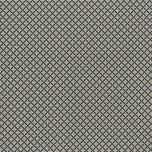 Schumacher Fabric Serendipity Black & Taupe 176421