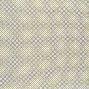 Schumacher Fabric Serendipity Bay & Citron 176426