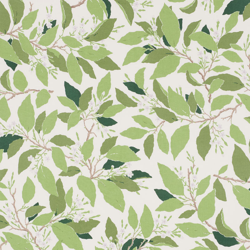 Dogwood Leaf Ivory 176520 by Schumacher Designer Fabric MILES REDD See Sample PAKISTAN WASHABLE </p><p>Repeat: Horizontal: 27" (69CM) and Vertical: 32" (81CM) 54" (137 CM) - Swanky Fabrics -