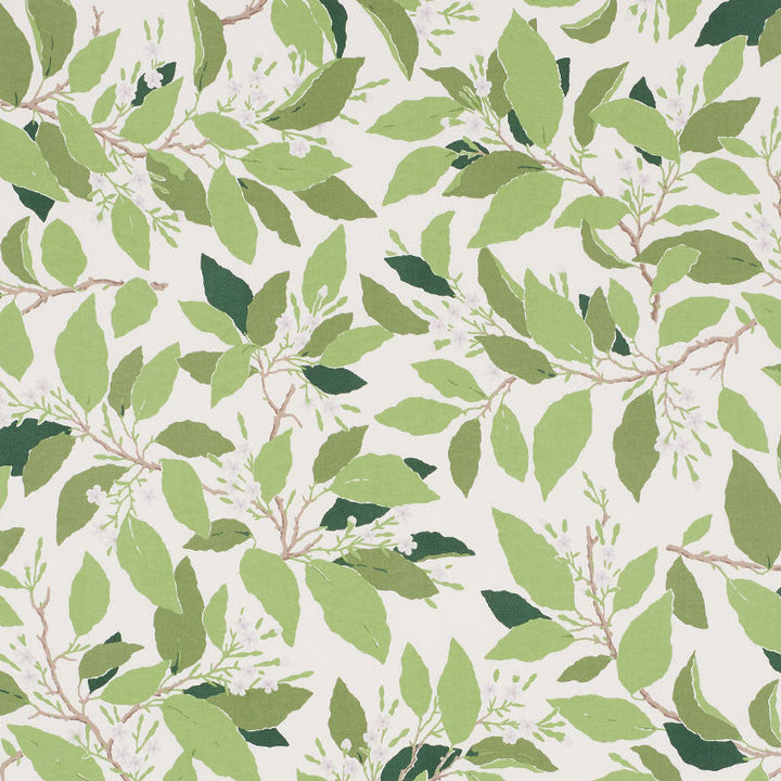 Dogwood Leaf Ivory 176520 by Schumacher Designer Fabric MILES REDD See Sample PAKISTAN WASHABLE </p><p>Repeat: Horizontal: 27" (69CM) and Vertical: 32" (81CM) 54" (137 CM) - Swanky Fabrics -