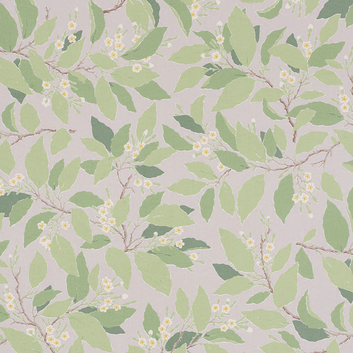 Dogwood Leaf Grisaille 176521 by Schumacher Fabric Schumacher Fabric Dogwood Leaf Grisaille 176521Fabric COTTON 100% PAKISTAN </p><p>Repeat: H: HORZ. 27" (69CM) , V: VERT. 32" (81CM) 54 - Fabric Carolina -
