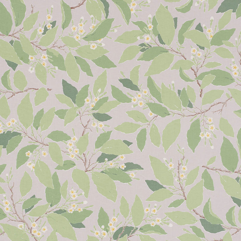 Dogwood Leaf Grisaille 176521 by Schumacher Designer Fabric MILES REDD COTTON 100% PAKISTAN </p><p>Repeat: Horizontal: 27" (69CM) and Vertical: 32" (81CM) 54 - Swanky Fabrics -