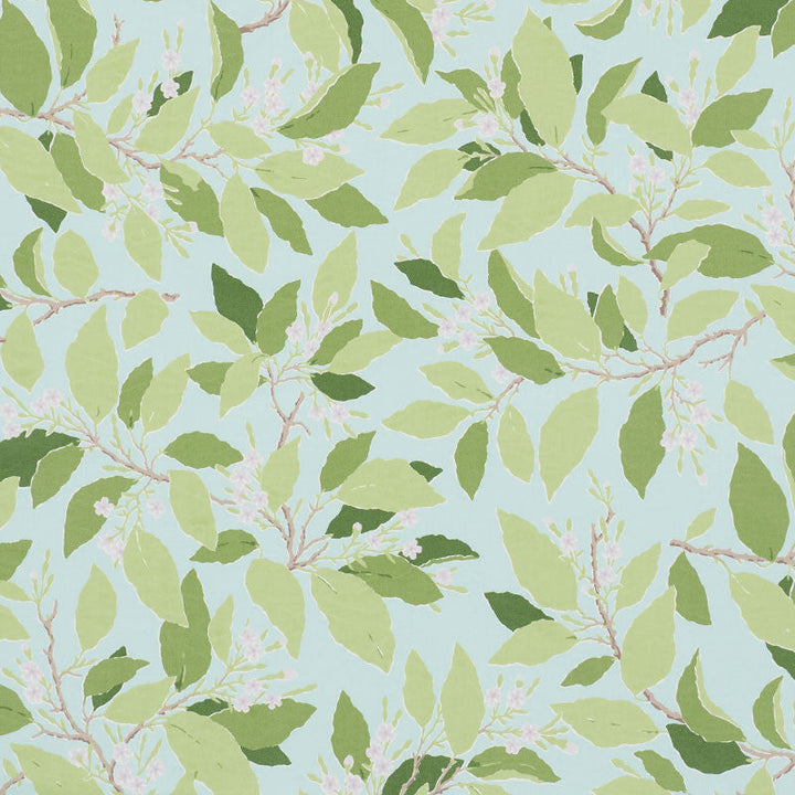 Dogwood Leaf Aqua 176522 by Schumacher Fabric Schumacher Fabric Dogwood Leaf Aqua 176522Fabric COTTON 100% PAKISTAN </p><p>Repeat: H: HORZ. 27" (69CM) , V: VERT. 32" (81CM) 54 - Fabric Carolina -
