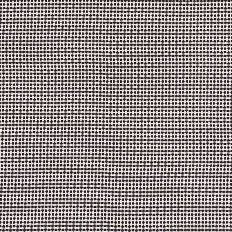 Stella II Black 176571 by Schumacher Designer Fabric Indooroutdoor-By-Studio-Bon 100% Acrylic Wyzenbeek 15,000 Horizontal: 3/8- and Vertical: 3/8- 54 - Swanky Fabrics -