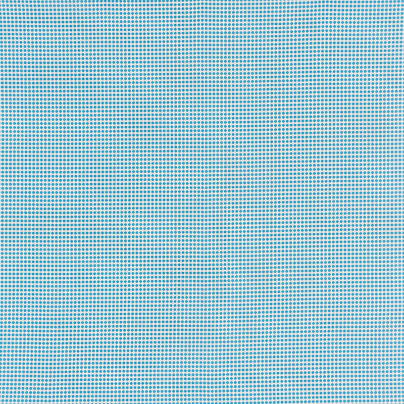 Stella Ii Aqua 176573 by Schumacher Designer Fabric INDOOR/OUTDOOR STUDIO BON ACRYLIC PLAIN WEAVE 100% UNITED STATES OF AMERICA WYZENBEEK 15,000 </p><p>Repeat: Horizontal: 3/8" (1CM) and Vertical: 3/8" (1CM) 54 - Swanky Fabrics -