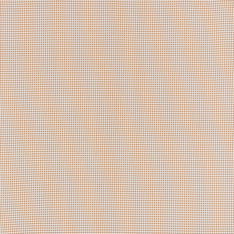 Stella Ii Sand 176574 by Schumacher Fabric Schumacher Fabric Stella Ii Sand 176574Fabric ACRYLIC PLAIN WEAVE 100% UNITED STATES OF AMERICA </p><p>Repeat: H: HORZ. 3/8" (1CM), V: VERT. 3/8" (1CM) 54 - Fabric Carolina -