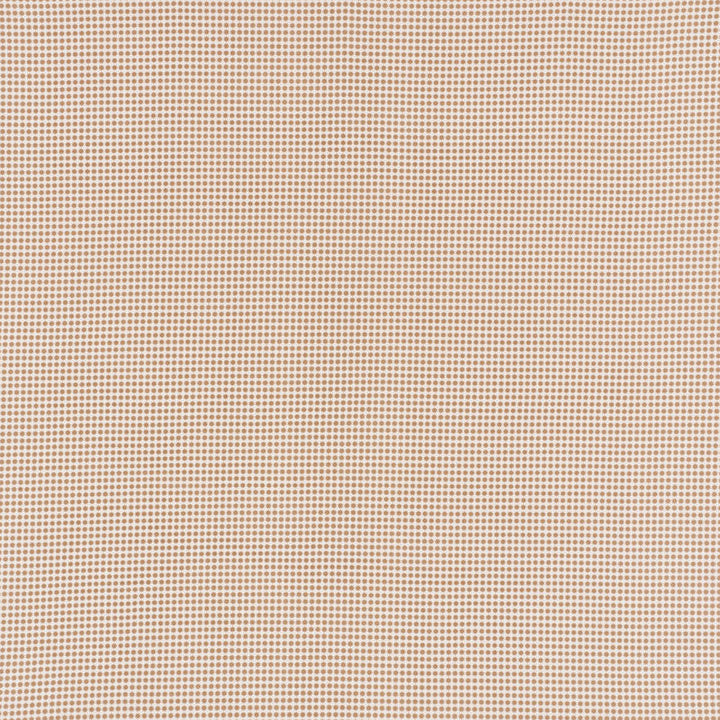 Stella Ii Sand 176574 by Schumacher Fabric Schumacher Fabric Stella Ii Sand 176574Fabric ACRYLIC PLAIN WEAVE 100% UNITED STATES OF AMERICA </p><p>Repeat: H: HORZ. 3/8" (1CM), V: VERT. 3/8" (1CM) 54 - Fabric Carolina -