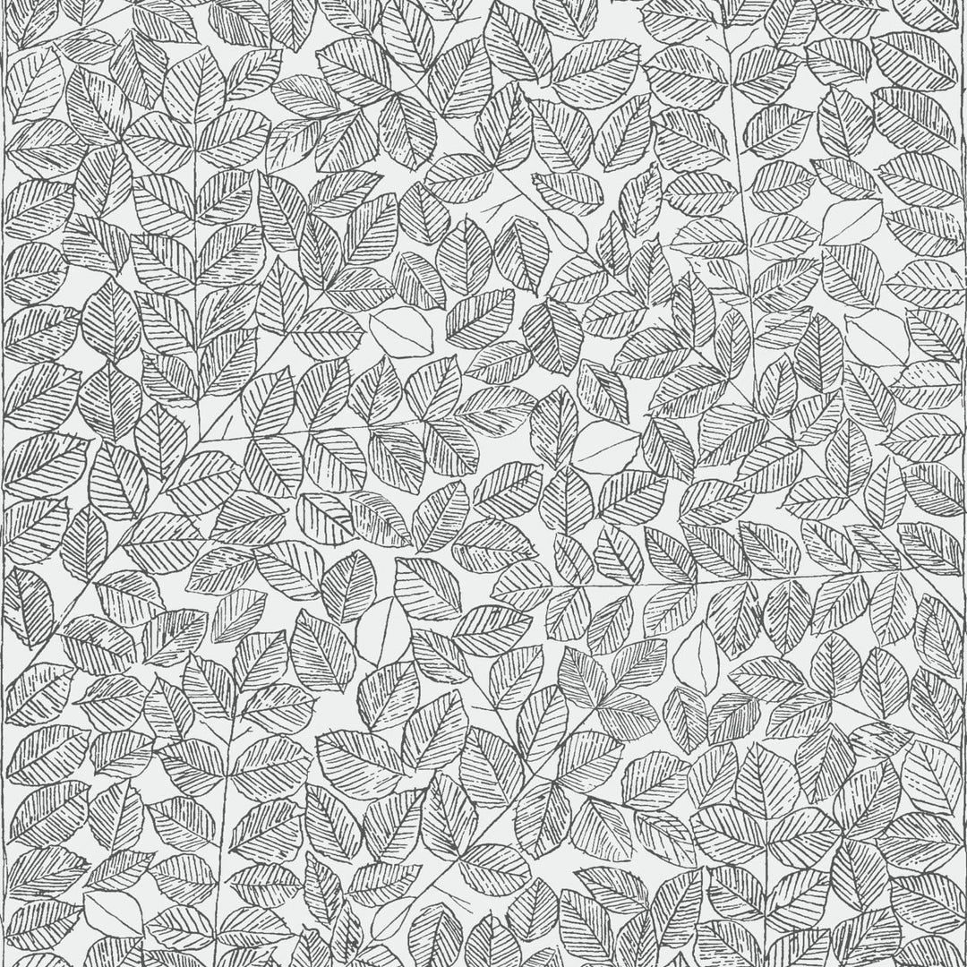 Schumacher Wallcovering Romans - Black
