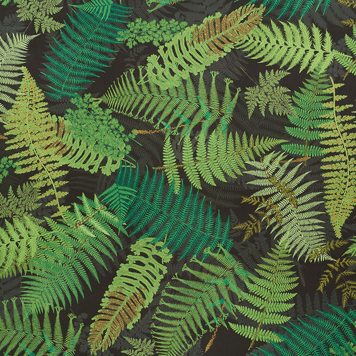 Fernarium Green & Black 177591 by Schumacher Designer Fabric Clements-Ribeiro 100% Cotton Martindale 18,000 Horizontal: 54 and Vertical: 94 56 - Swanky Fabrics -