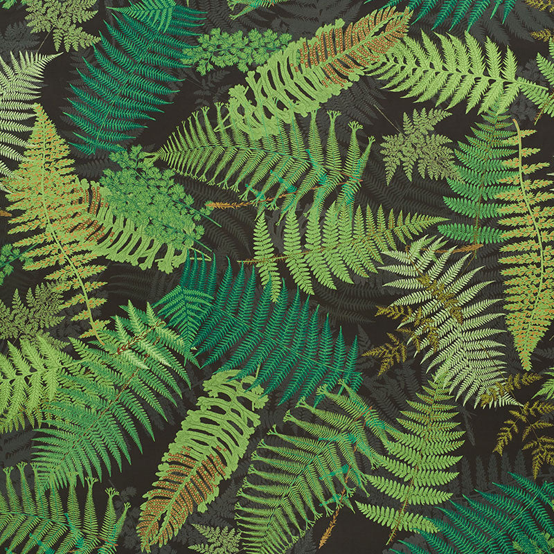 Fernarium Green & Black 177591 by Schumacher Designer Fabric CLEMENTS RIBEIRO COTTON 100% UNITED KINGDOM MARTINDALE 18,000 </p><p>Repeat: Horizontal: 54" (137CM) and Vertical: 94" (239CM) 56 - Swanky Fabrics -