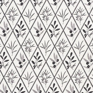 Schumacher Fabric Endimione Carbon 177643