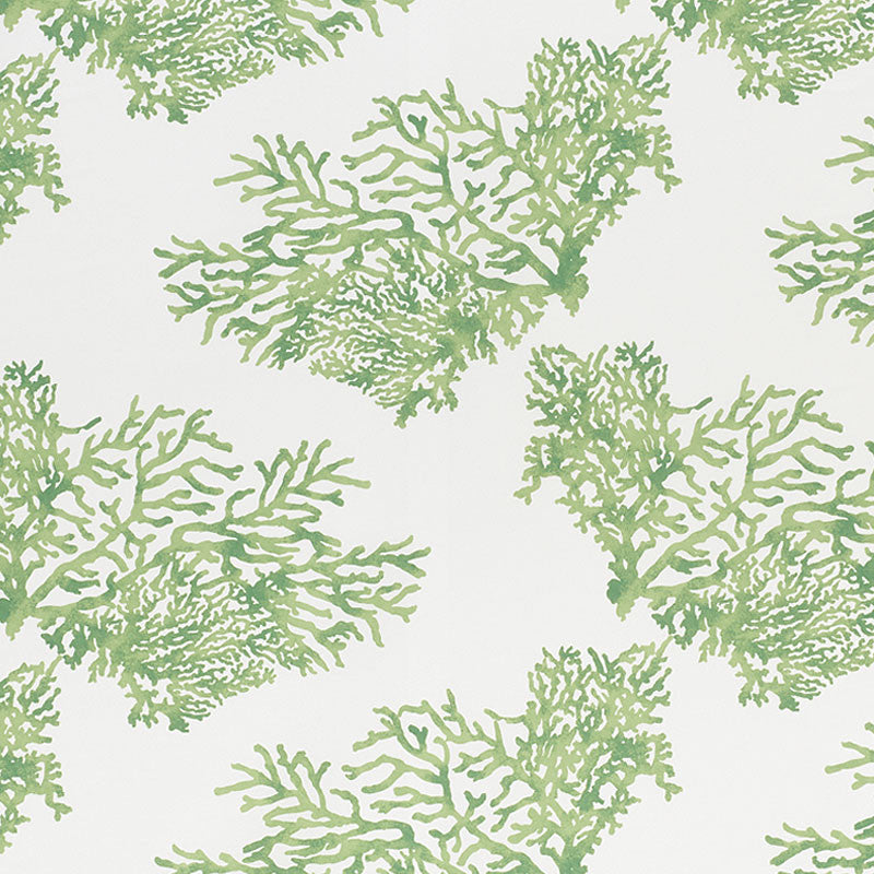 Great Barrier Reef Ii Green 178291 by Schumacher Designer Fabric INDOOR/OUTDOOR PRINTS & WOVENS IV See Sample ITALY - </p><p>Repeat: Horizontal: 26 1/2" (67CM) and Vertical: 26 1/4" (67CM) 53 3/4" (137CM) - Swanky Fabrics -