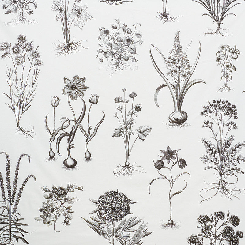 Cabot Botanical Large Ivory 178740 by Schumacher Designer Fabric SCHUMACHER CLASSICS COTTON 100% UNITED KINGDOM </p><p>Repeat: Horizontal: 111" (282CM) and Vertical: 54 3/4" (142CM) 55.5 - Swanky Fabrics -