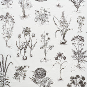 Schumacher Fabric Cabot Botanical Large Ivory 178740