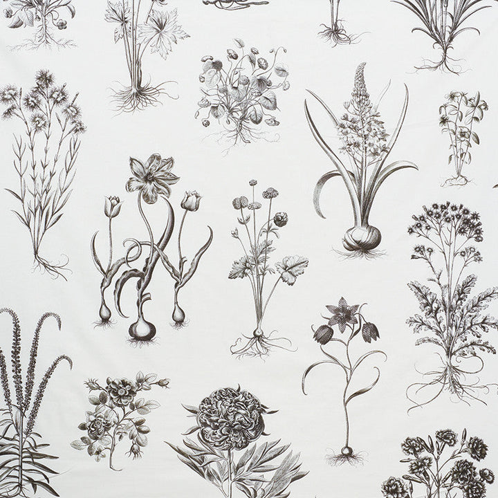 Cabot Botanical Large Ivory 178740 by Schumacher Fabric Schumacher Fabric Cabot Botanical Large Ivory 178740Fabric COTTON 100% UNITED KINGDOM </p><p>Repeat: H: HORZ. 111" (282CM) , V: VERT. 54 3/4" (142CM) 55.5 - Fabric Carolina -