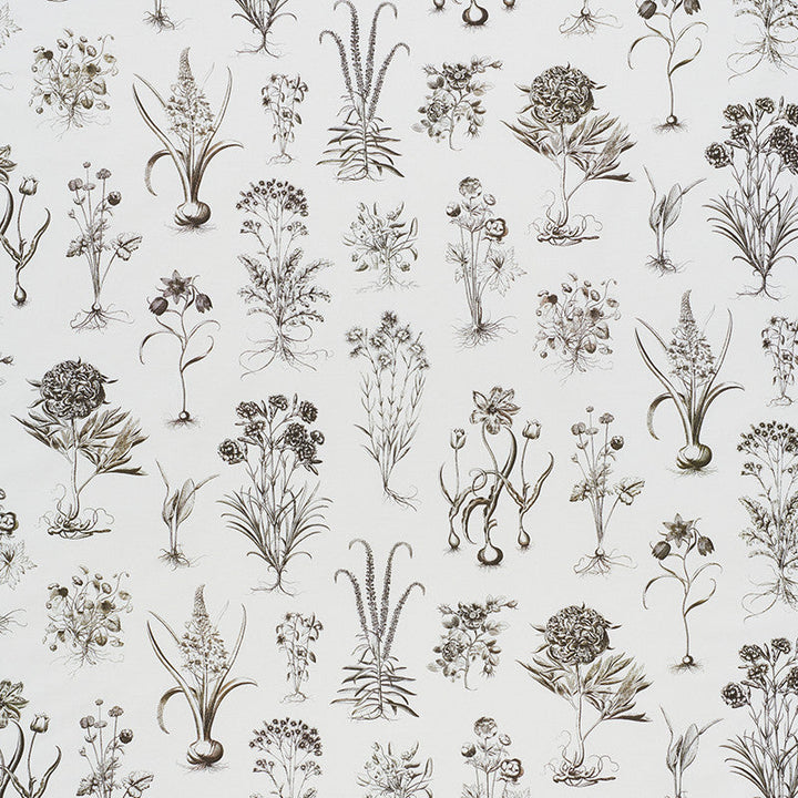 Cabot Botanical Ivory 178751 by Schumacher Designer Fabric SCHUMACHER CLASSICS COTTON 100% UNITED KINGDOM </p><p>Repeat: Horizontal: 53 3/4" (137CM) and Vertical: 29 7/8" (56CM) 55.5 - Swanky Fabrics -